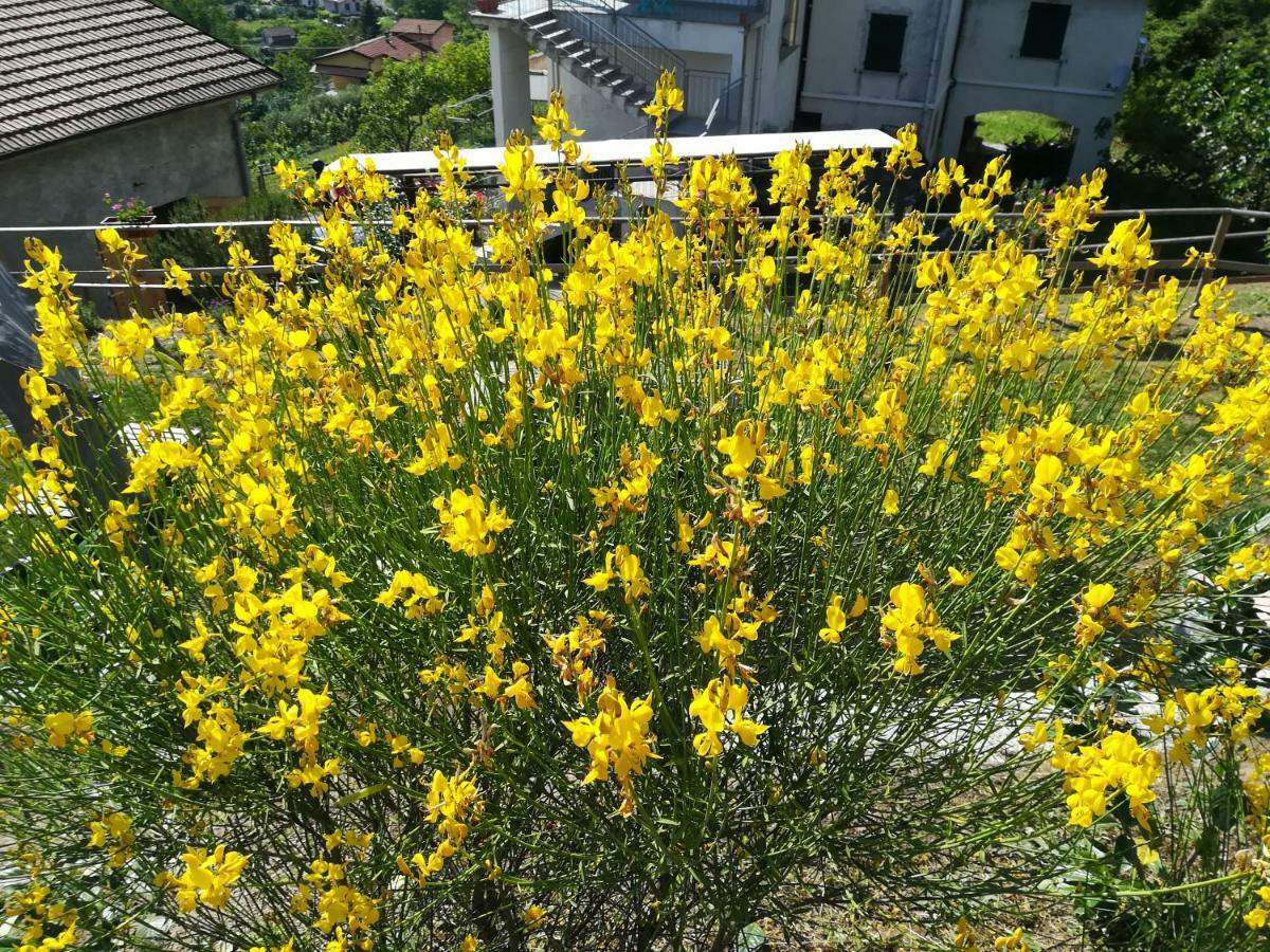 Un Soffio Dal Cielo Appartement Beverino Buitenkant foto